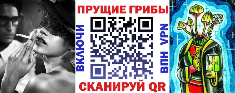 купить наркотик  Устюжна  Галлюциногенные грибы MAGIC MUSHROOMS 